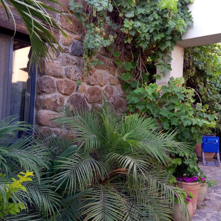 Nichochot Provence Vila Had Nes Exterior foto